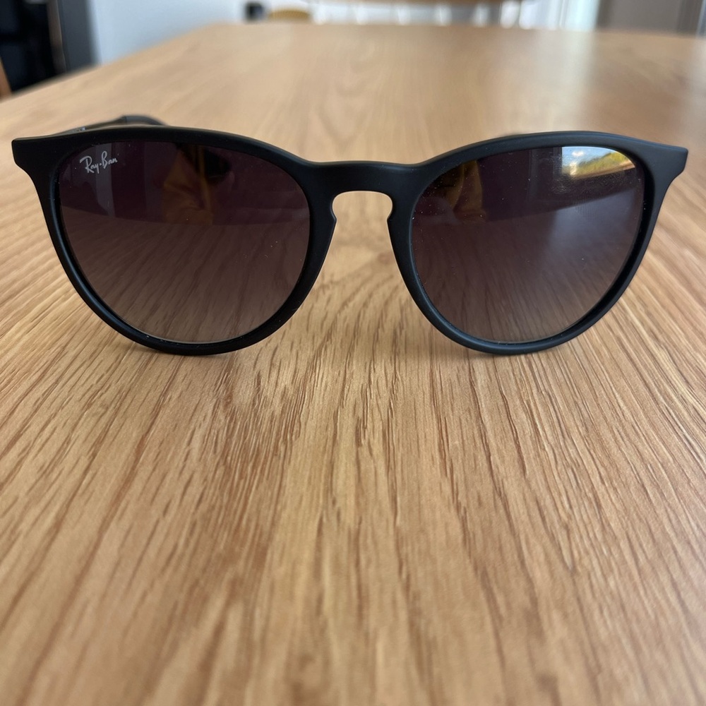 Ray-Ban Matte Black Sunglasses